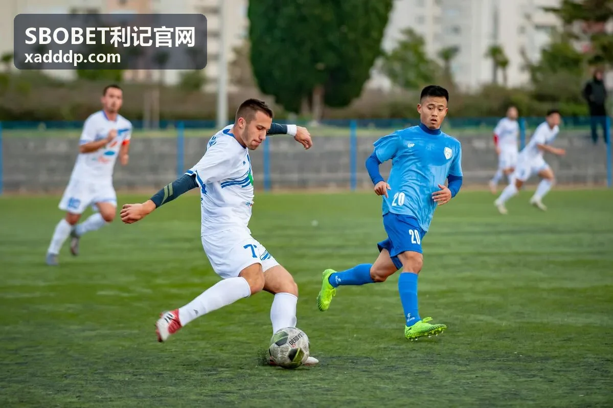 SBOBET利记官网 精英体育竞技视觉