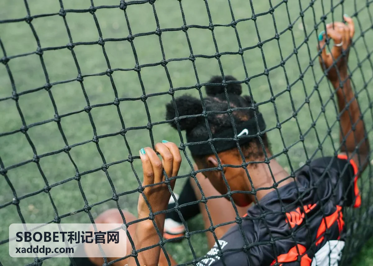 滚球投注 SBOBET利记官网