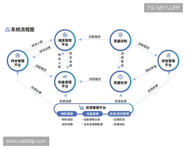 北京羽毛球队阵地战革新探索与发展新路径的深度分析 北京羽毛球队阵地战革新探索与发展新路径的深度分析