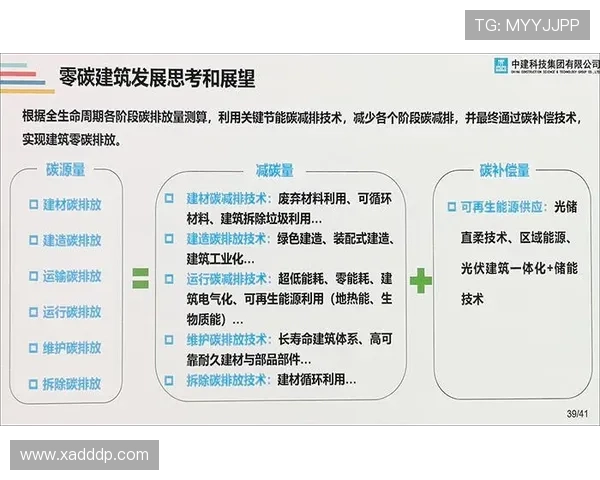杭州足球队反击革新之路探索与未来展望