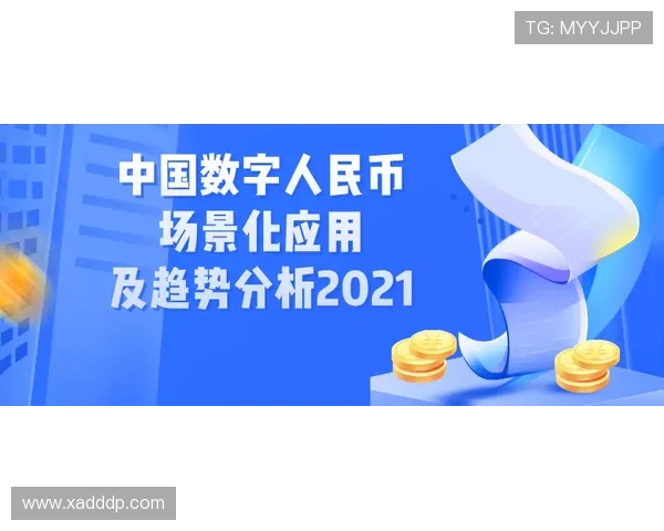 深圳排球队区域防守创新之路探索与实践分析