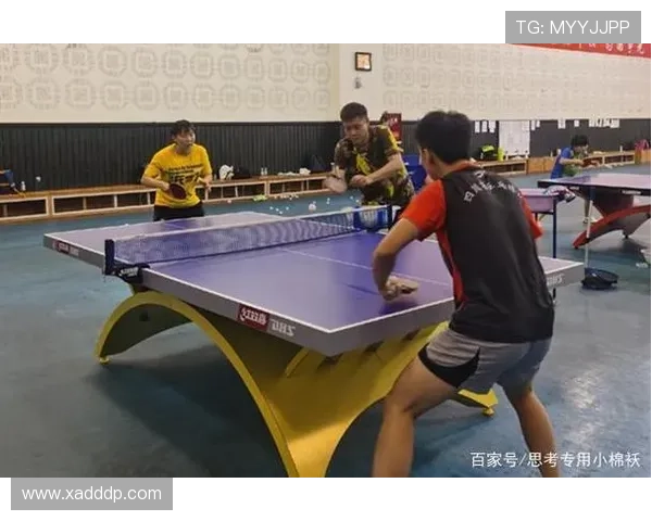 西安乒乓球队的蜕变与成长探索冠军赛背后的奋斗历程