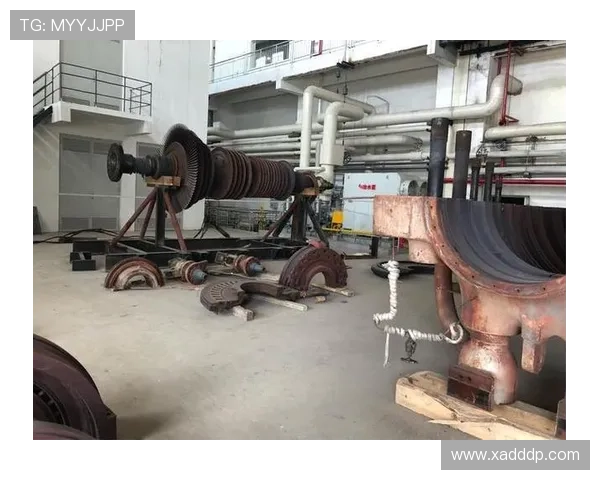 西班牙国家队的蜕变之路:从青涩到辉煌的欧锦赛历程揭秘