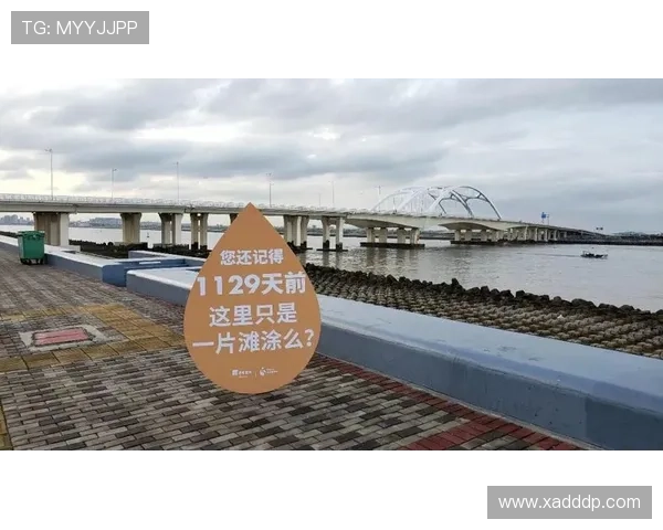 成都篮球队创下新纪录速度排名飙升引发全城热议